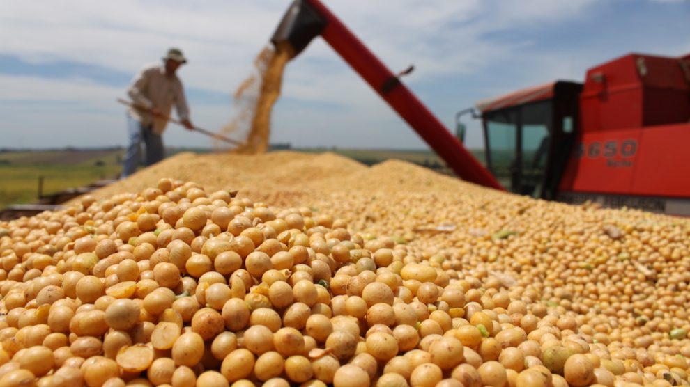 Preço Da Soja Hoje Dourados Ms Preço da soja disponível em Mato Grosso fecha abril com queda de 4,1%