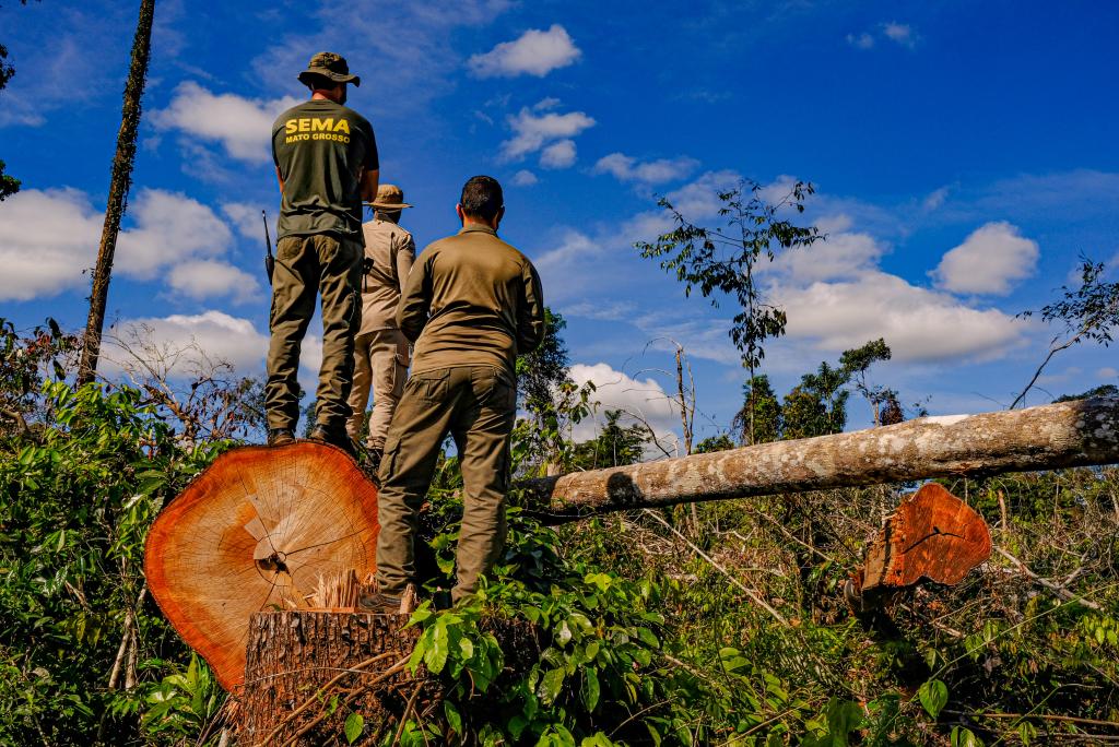 Colniza registra maior área contínua desmatada na Amazônia em 2022 :  Instituto Centro de Vida