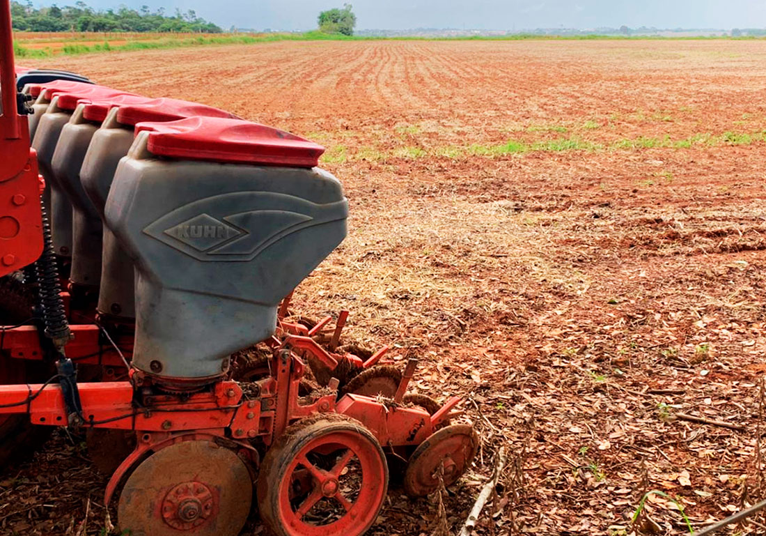 Custeio da safra de soja em Mato Grosso é 2% maior