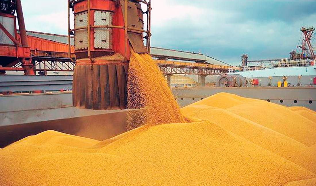 Sinop registra queda nas exportações em setembro