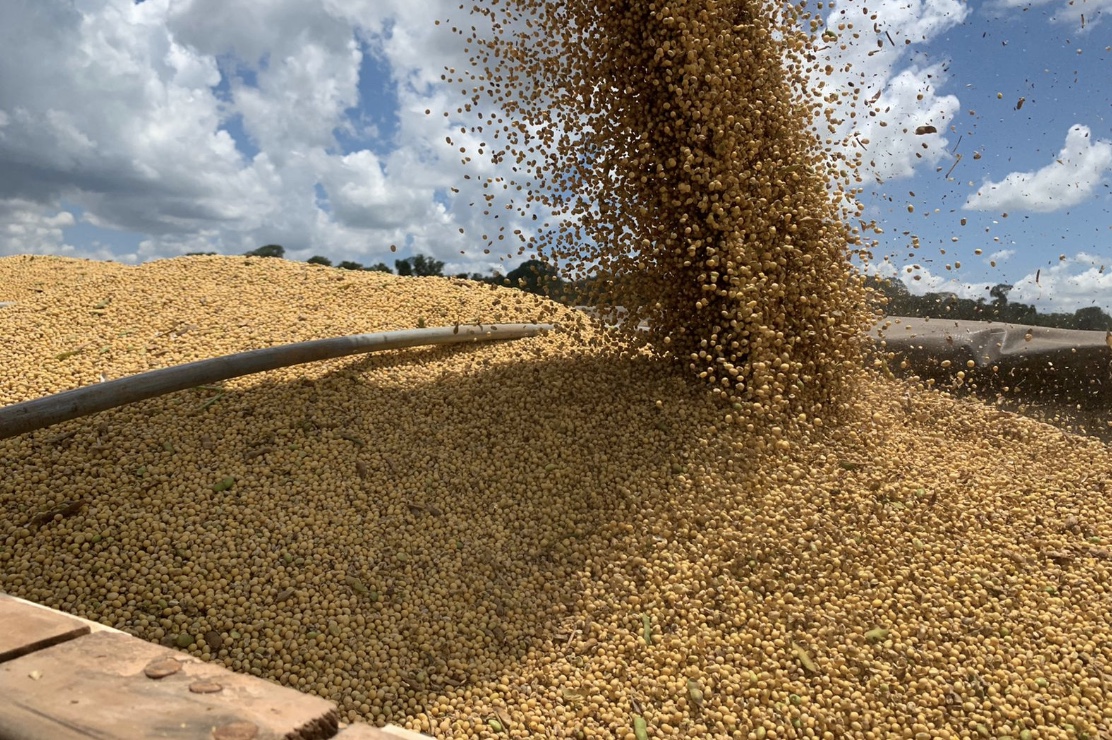Soja e Farelo: Preços em Mato Grosso Registram Alta na Semana