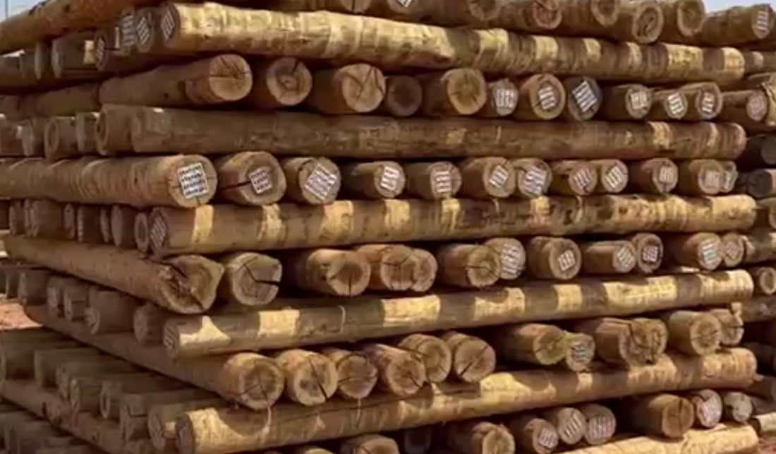 Falhas em sistemas do Ibama causam prejuízos milionários em Mato Grosso
