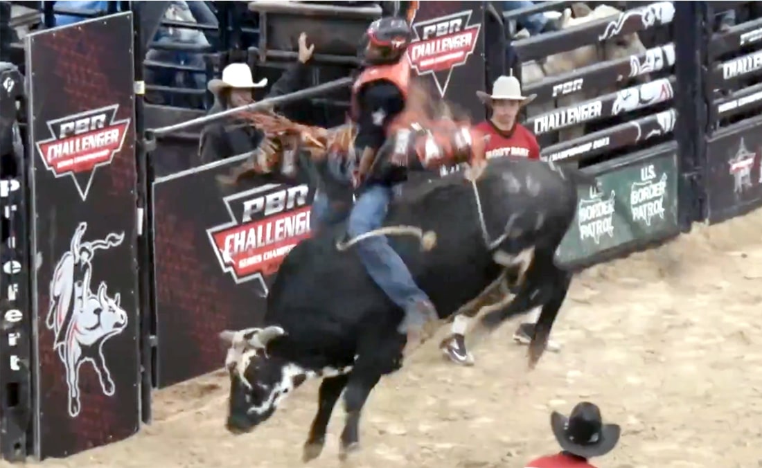 Peão de MS vence campeonato mundial de rodeio nos Estados Unidos e leva  prêmio de US$ 1 milhão, Mato Grosso do Sul