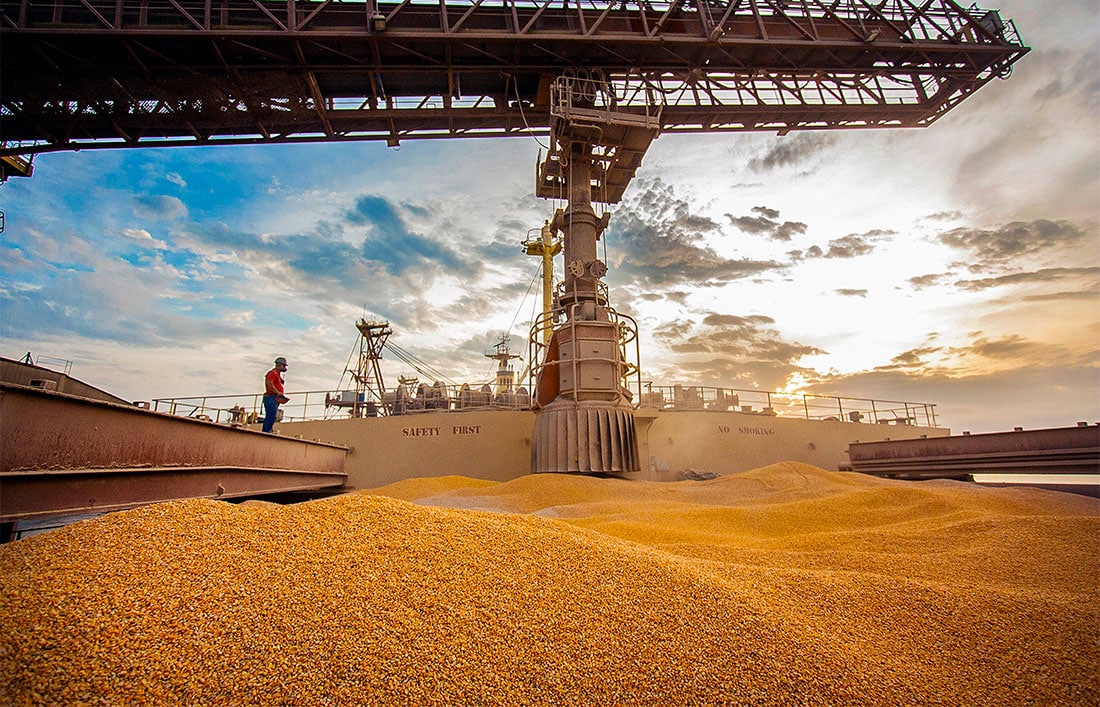 Mato Grosso dispara exportação de milho e domina mercado