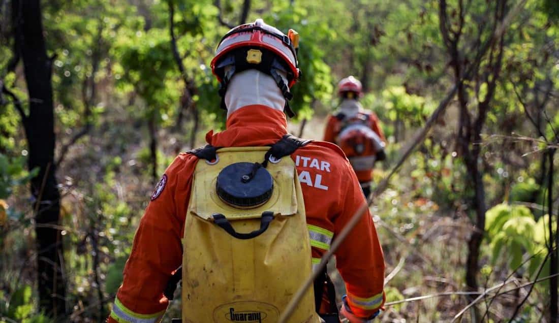 Brigadistas contêm incêndio em mata na região do Nortão em Itaituba