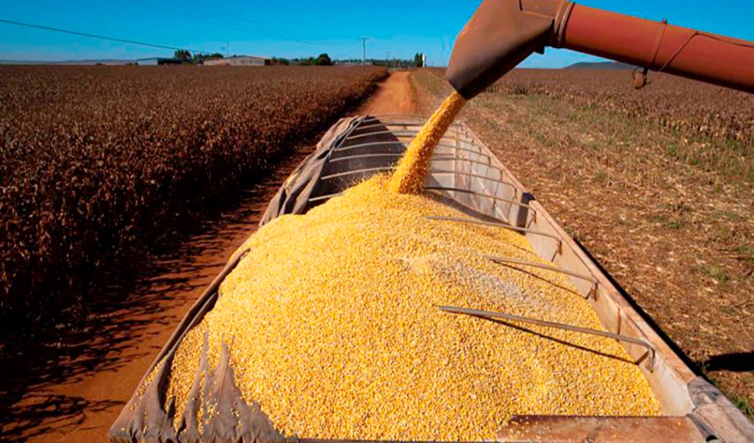 Nova Mutum exporta mais de R$ 281 milhões em Mato Grosso