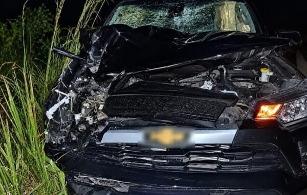 Cavalo morre após ser atropelado por carro em Paranaíta, MT