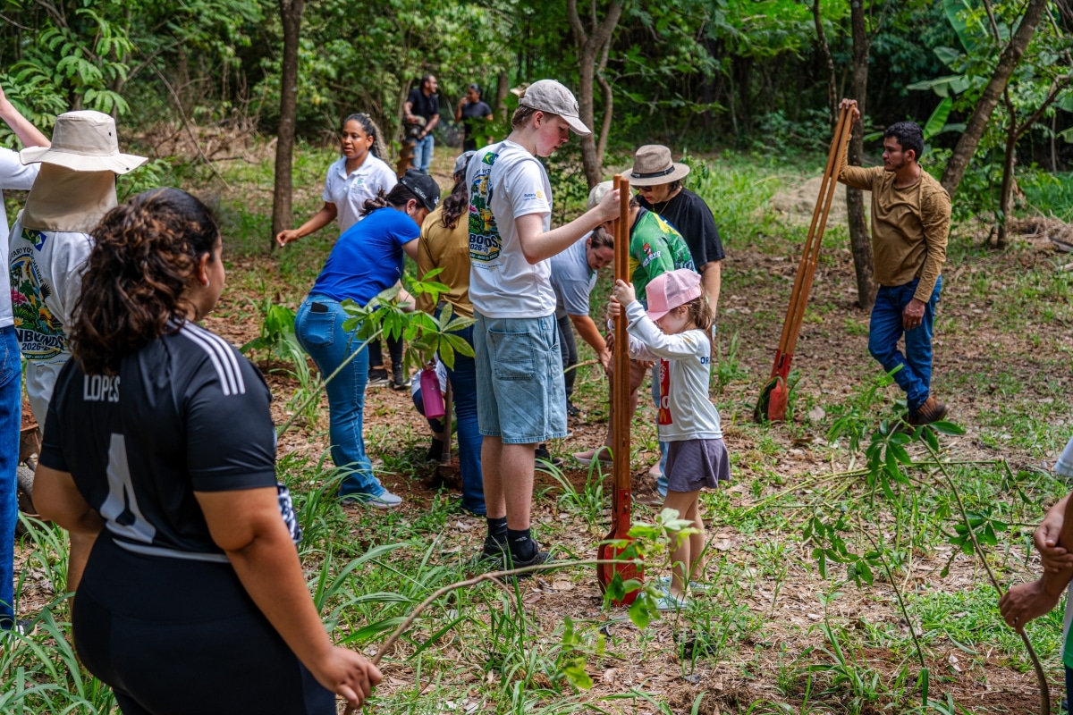 Lucas do Rio Verde recebe plantio de mais de 60 mudas de árvores nativas