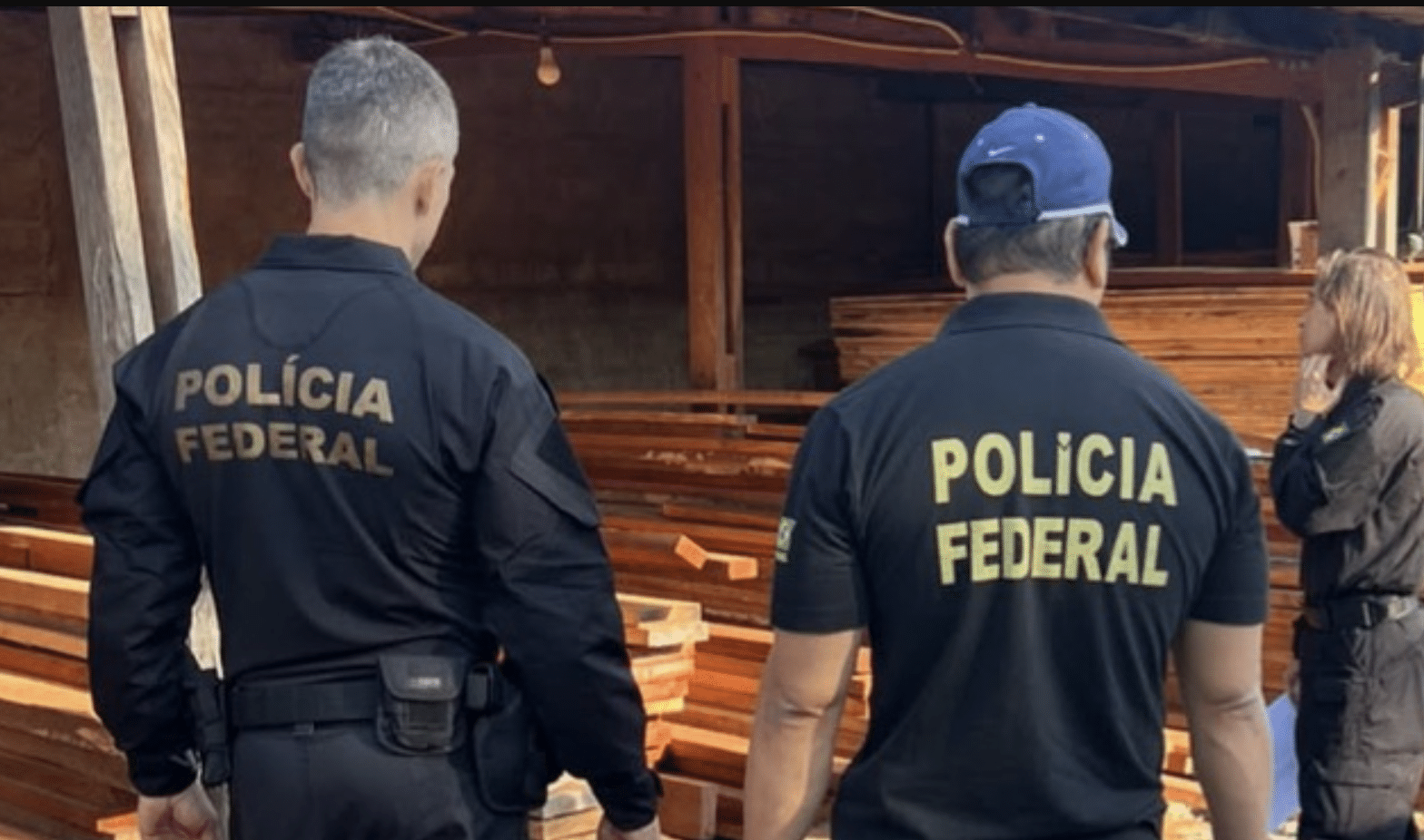 PF investiga comércio ilegal de madeira nativa em Barra do Garças, MT