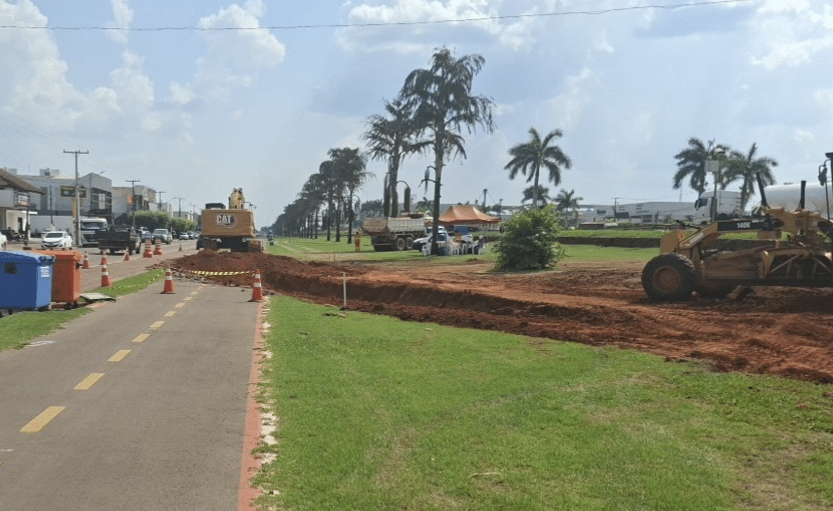 BR-163 terá desvios para retirada de palmeiras em Lucas do Rio Verde, MT